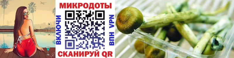 кракен онион Покров Псилоцибиновые грибы Psilocybine cubensis